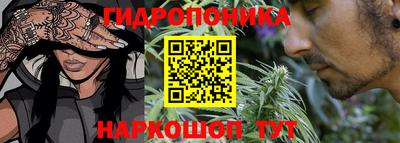 эйфоретик Дубна