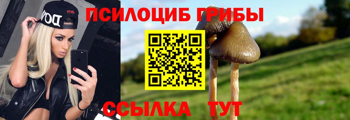 Псилоцибиновые грибы мицелий Бирск